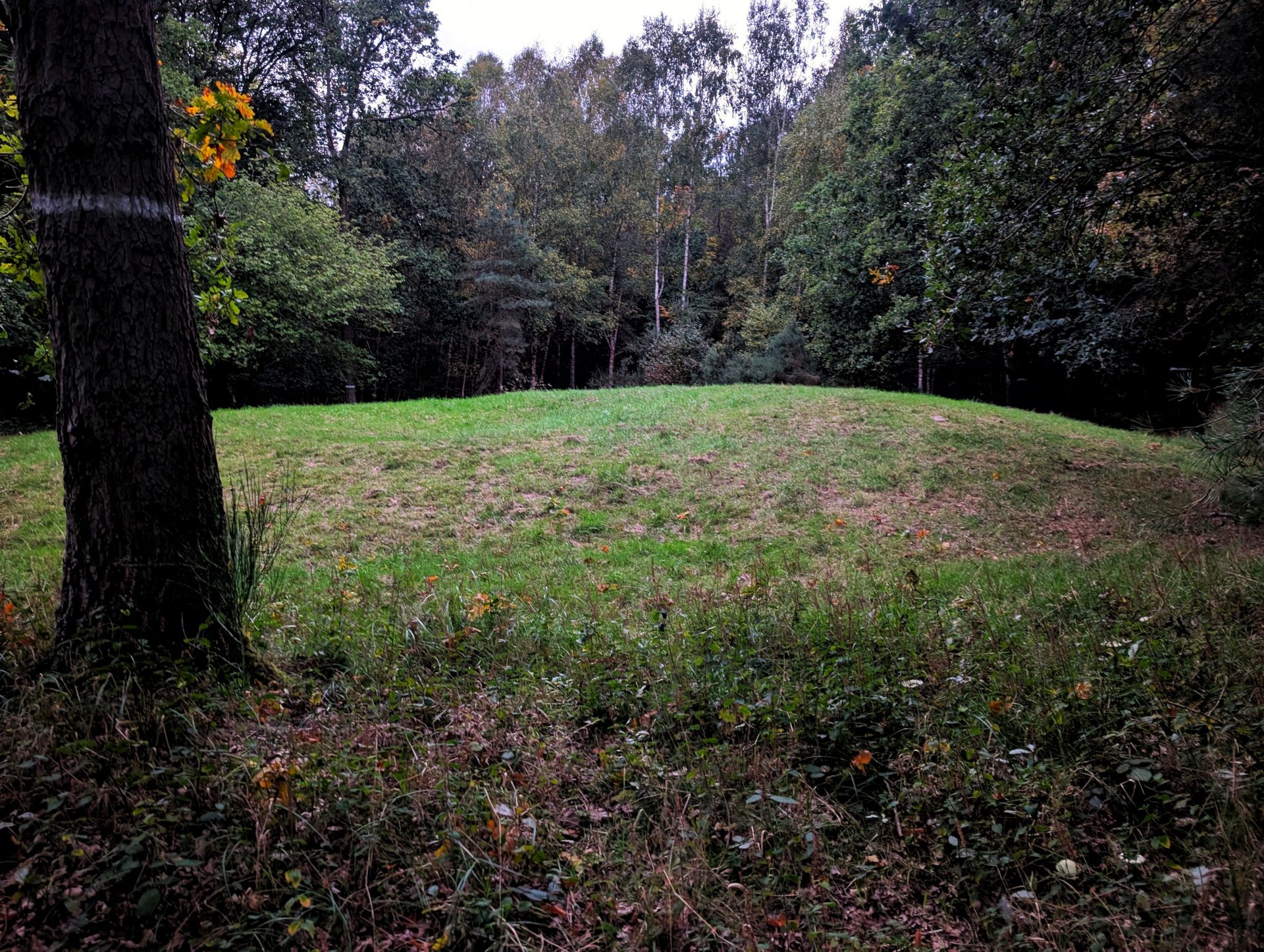 Bronze Age Mound