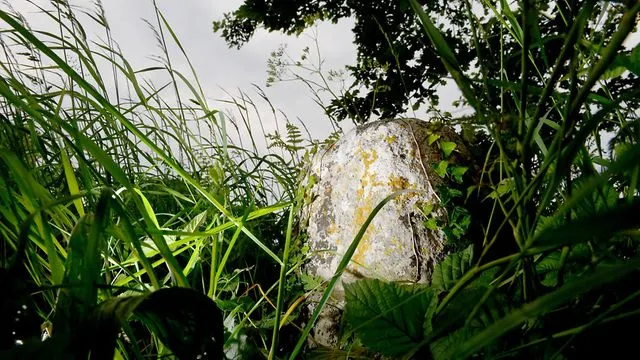 The old Cross Stone at the village of Hardley Norfolk