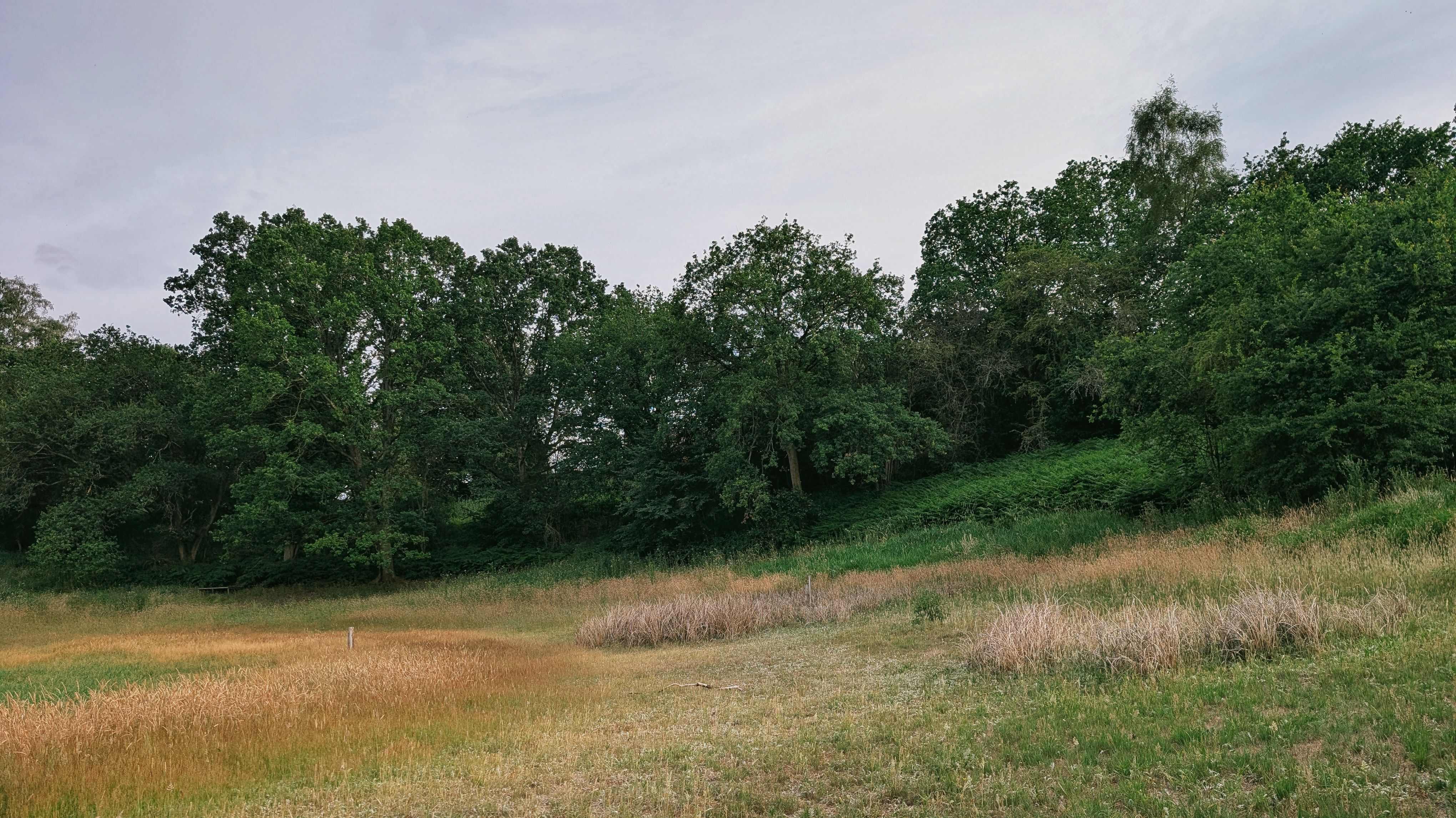 Devil's Punchbowl South Norfolk