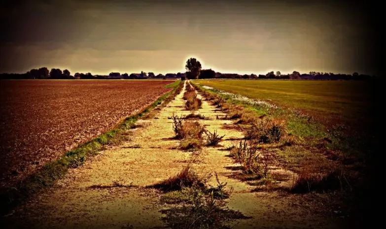 Dilapidated runway at Rackheath airbase